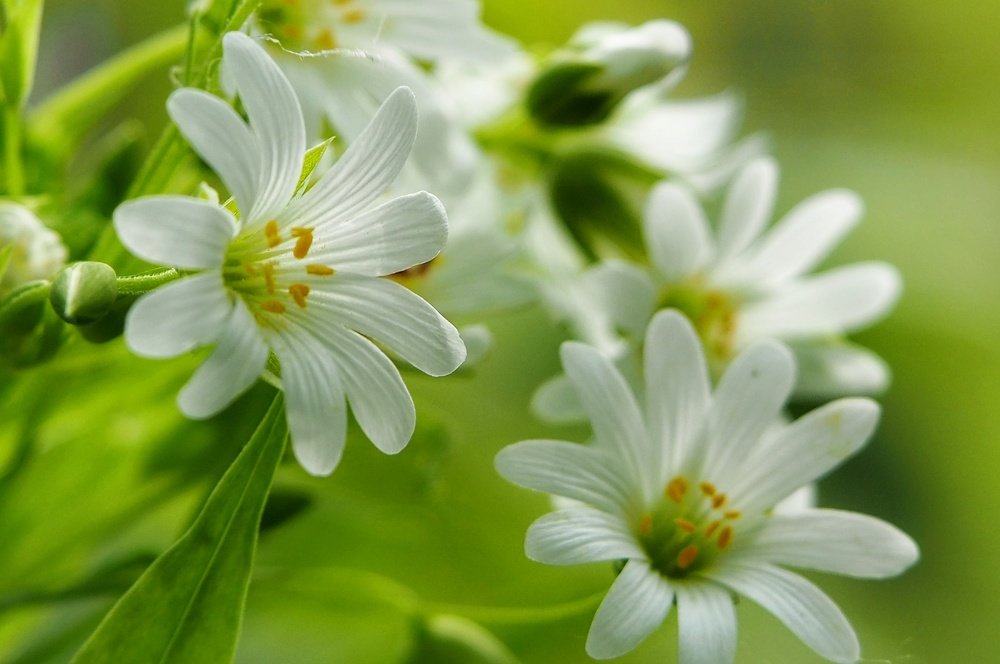 Photograph by Ирина