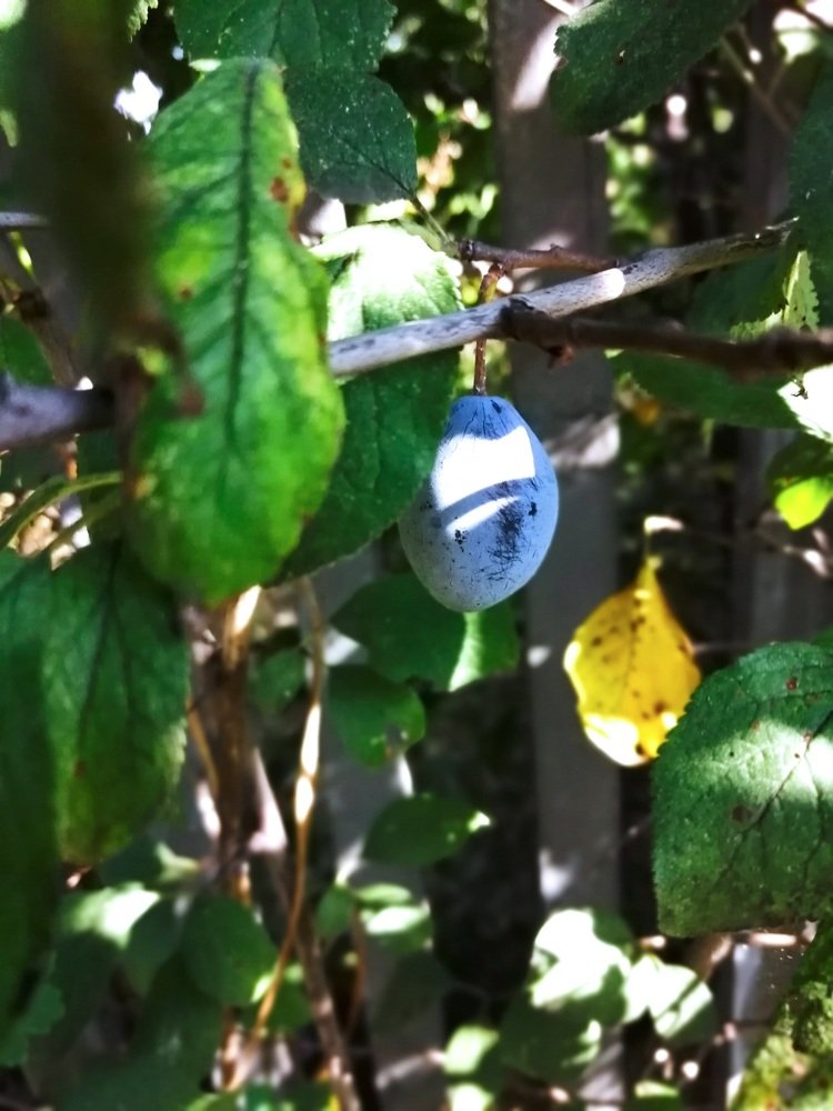 Photograph by Марина