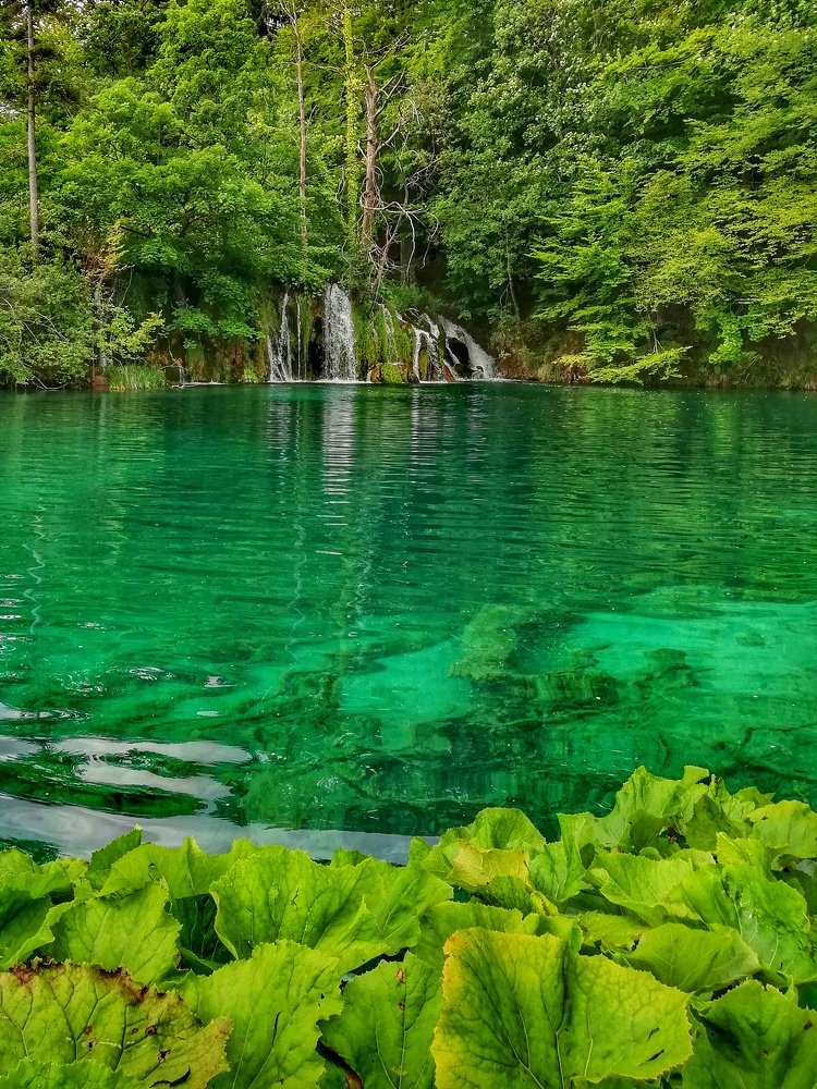 Photograph by Анна