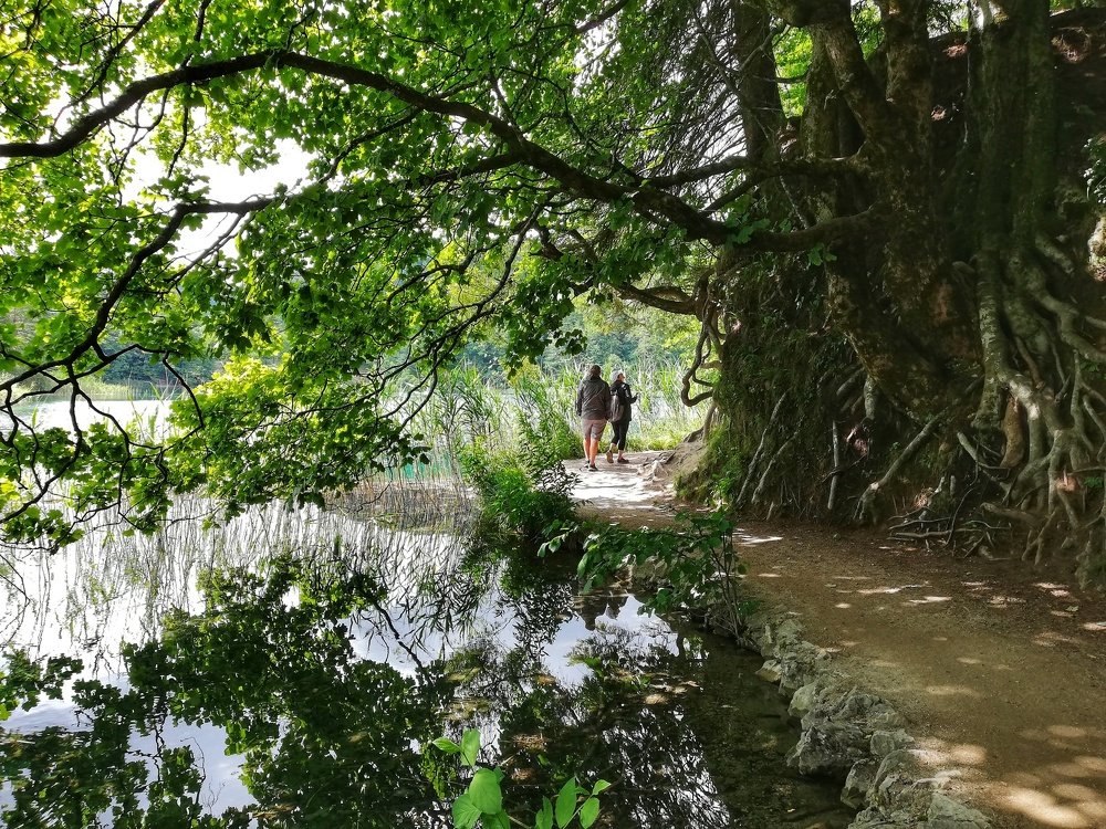 Photograph by Анна