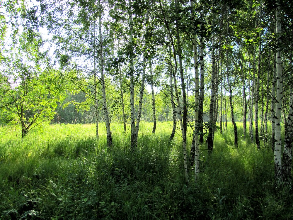 Photograph by Наталья