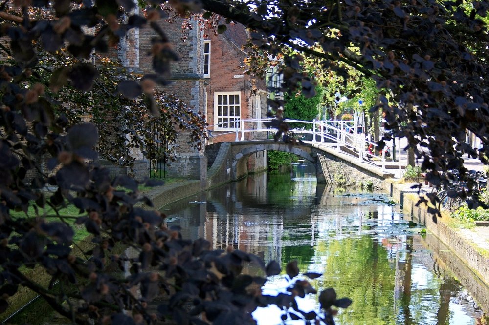 Photograph by Евгений Рабинович