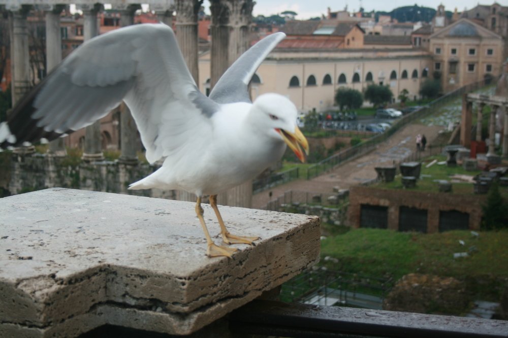 Photograph by Евгений Рабинович