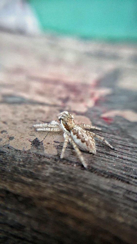 Photograph by DHIRAJ GOSWAMI