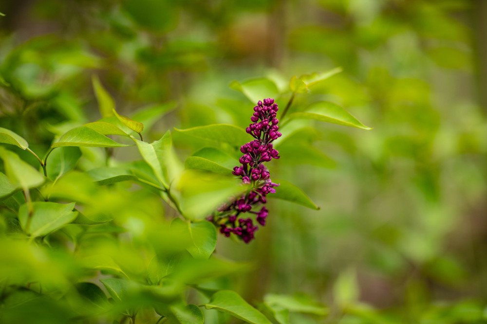 Фотография автора Анна Козак