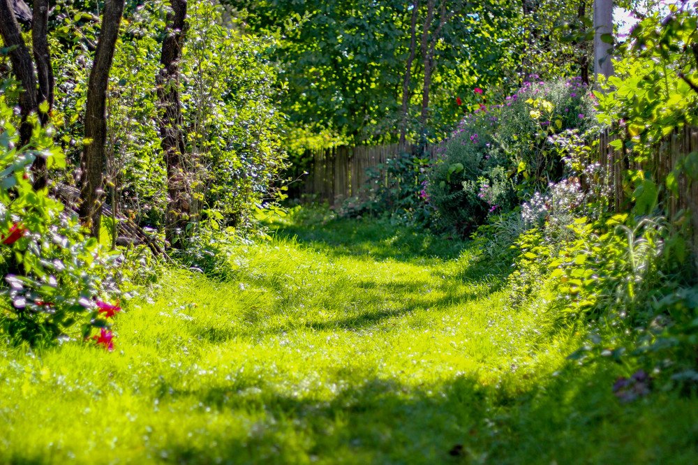 Фотография автора Анна Козак