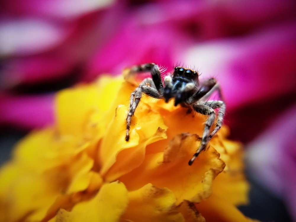 Photograph by DHIRAJ GOSWAMI