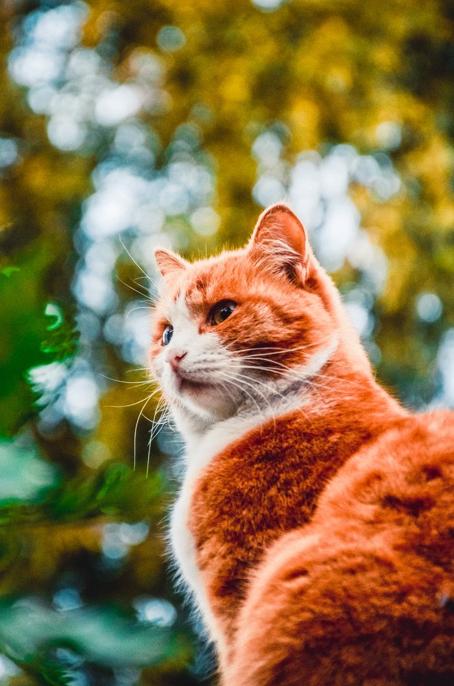 Photograph by Анастасия Харина