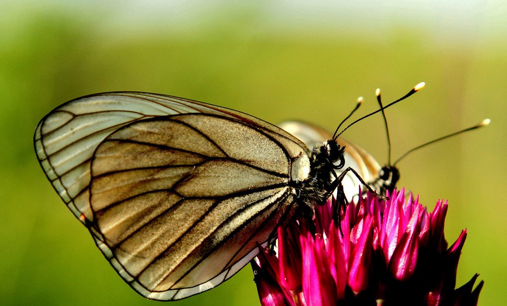 Photograph by Алтынбек Қартабай