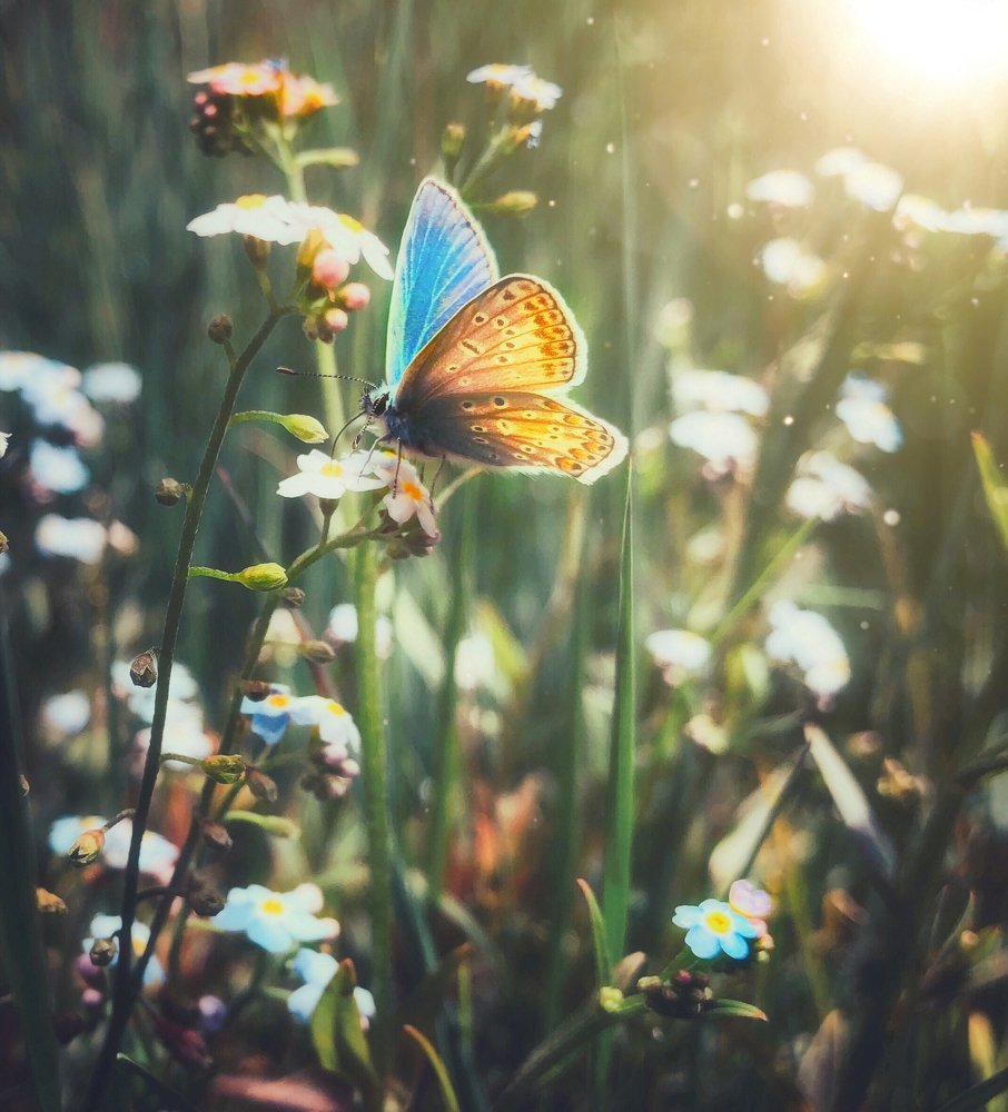 Photograph by Валентина Старикова