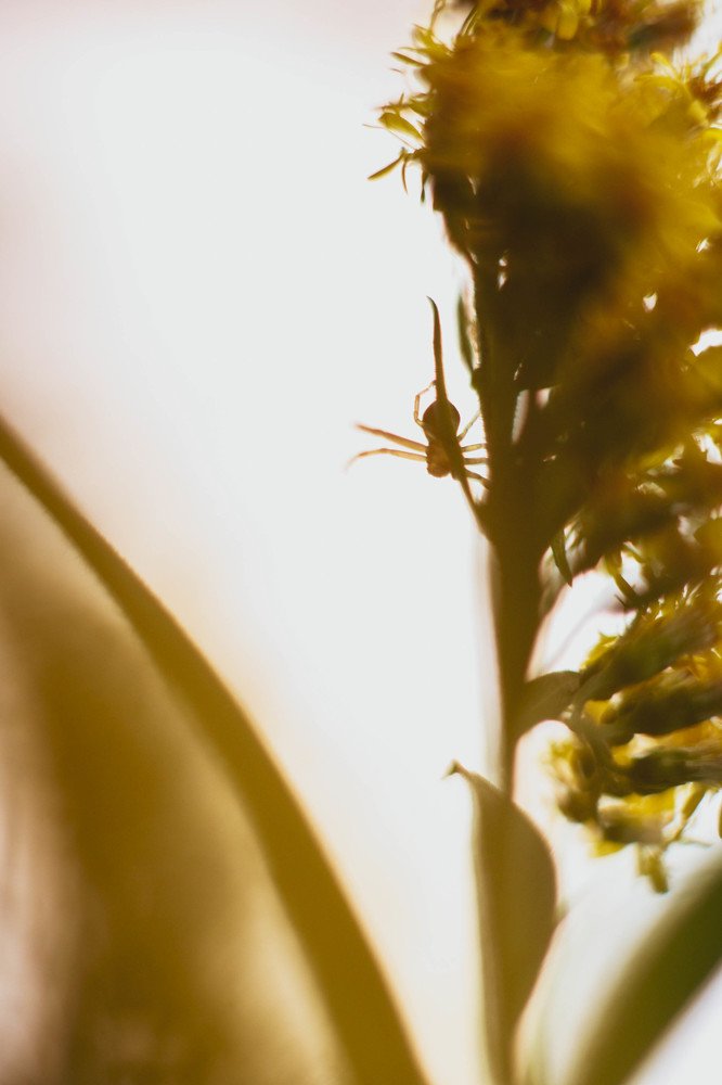 Photograph by Анастасия Чепурнова