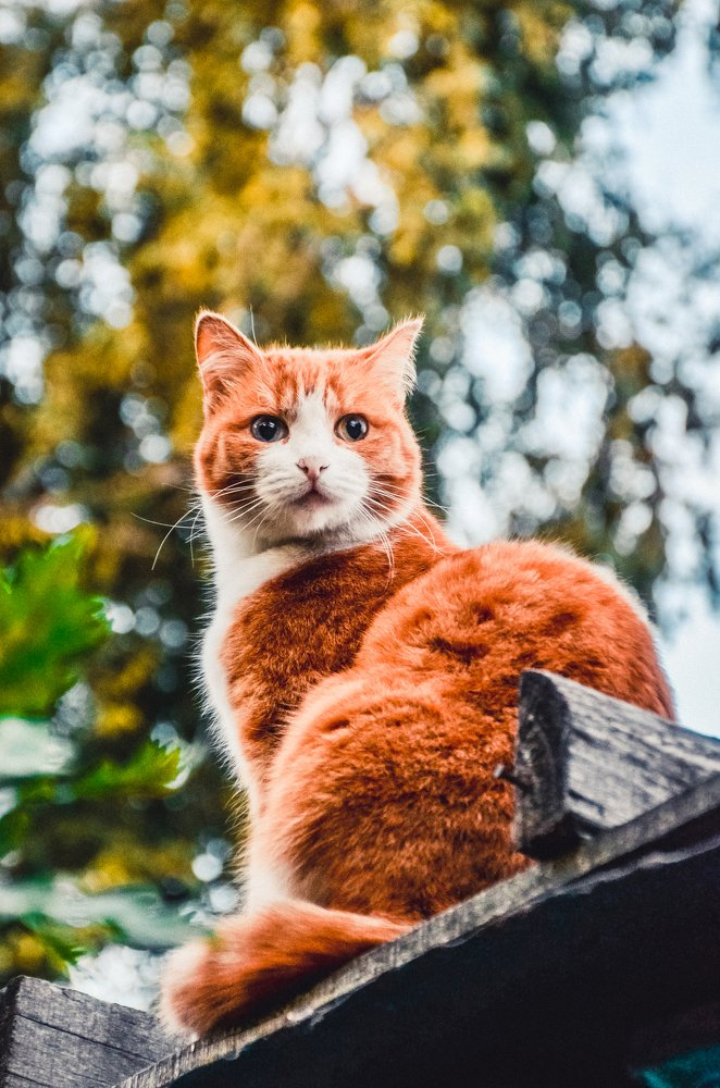 Photograph by Анастасия Харина