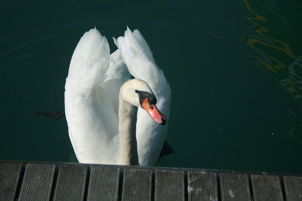 Photograph by Евгений Рабинович