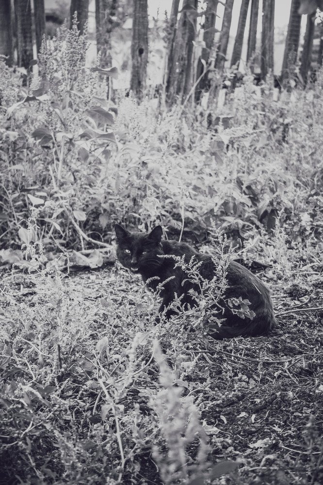 Photograph by Анастасия Чепурнова