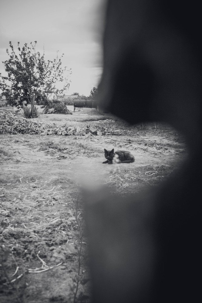 Photograph by Анастасия Чепурнова