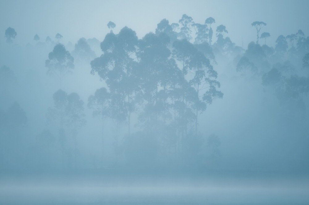 Photograph by Gunawan Hendi