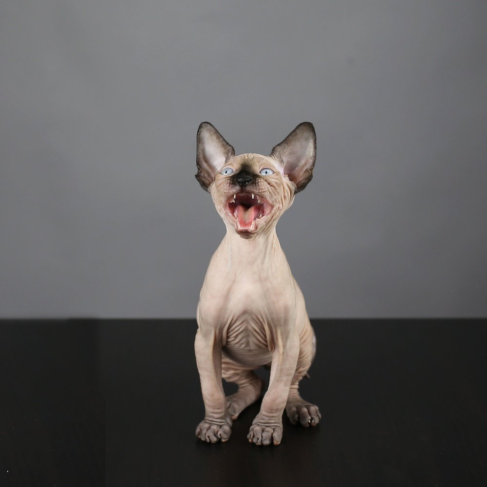 Photograph by Ирина Голубятникова