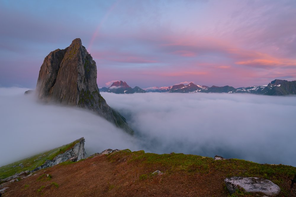 Фотография автора Татьяна Степанова