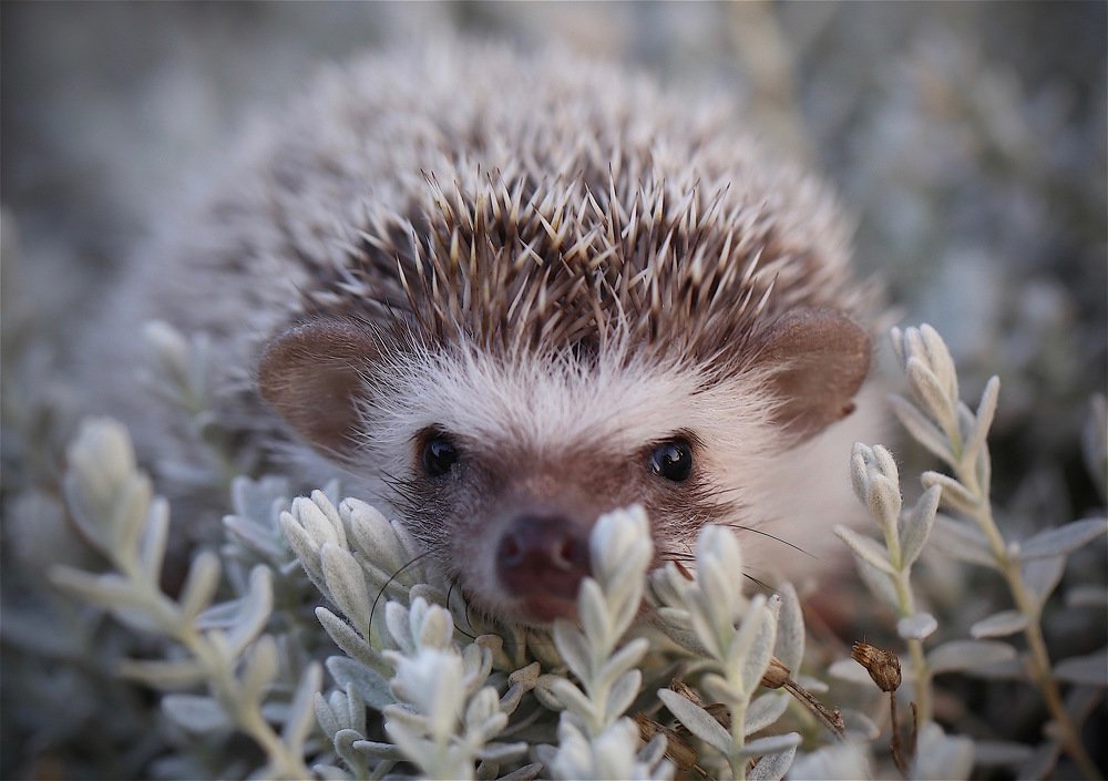 Photograph by Nataliya Mochernyuk