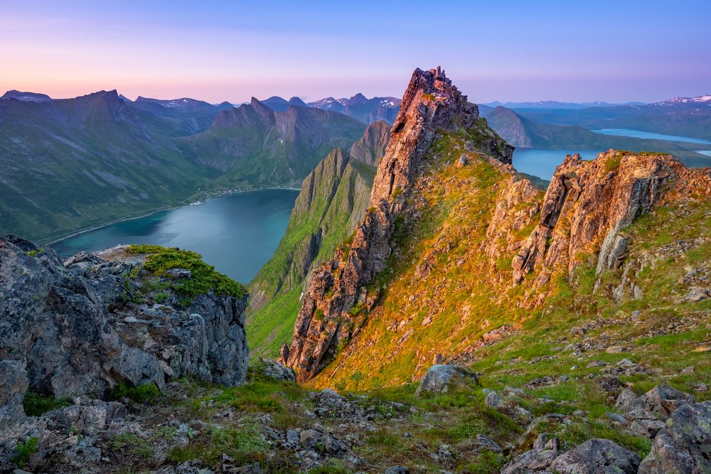 Фотография автора Татьяна Степанова