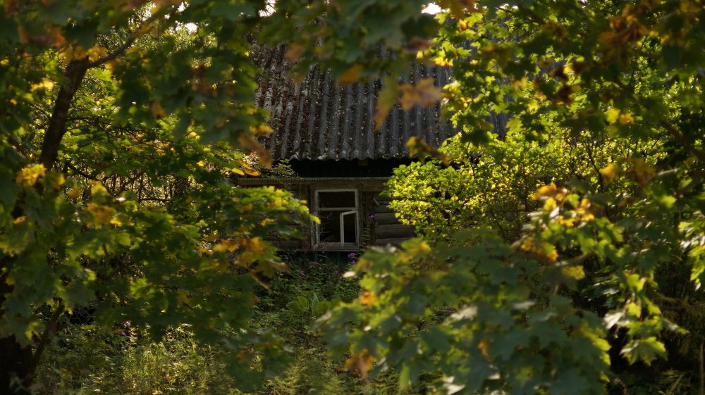 Photograph by Андрей Шартов