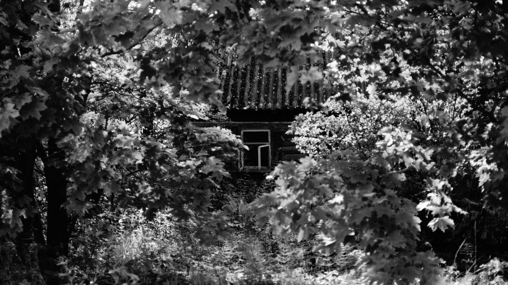 Photograph by Андрей Шартов