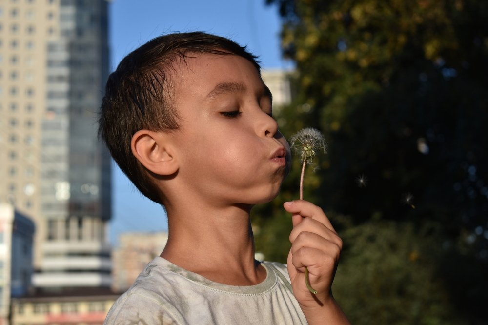 Photograph by Александр Шевченко