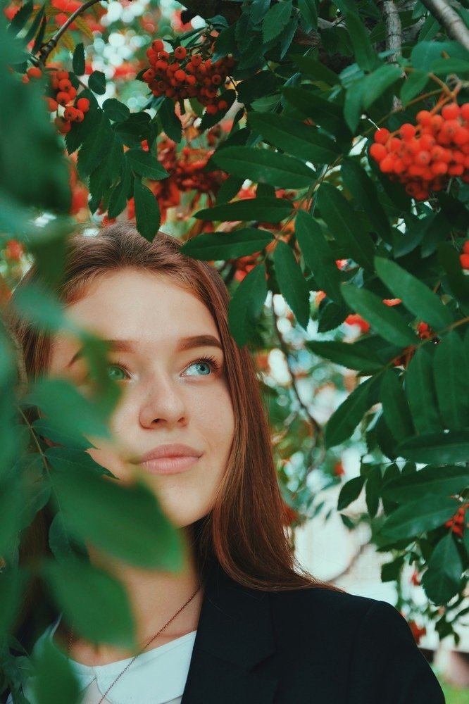 Огонь рябины красной