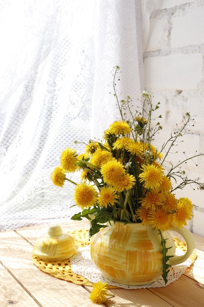 Photograph by Olga Bondarenko