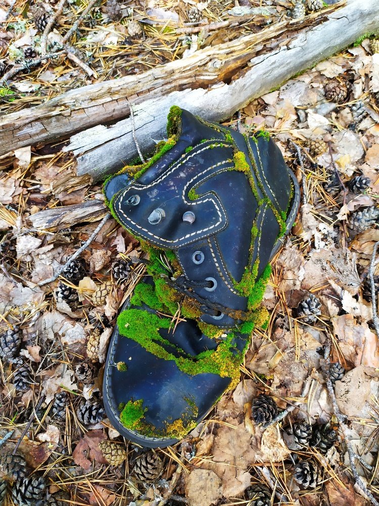 Photograph by Евгения Белоцветова