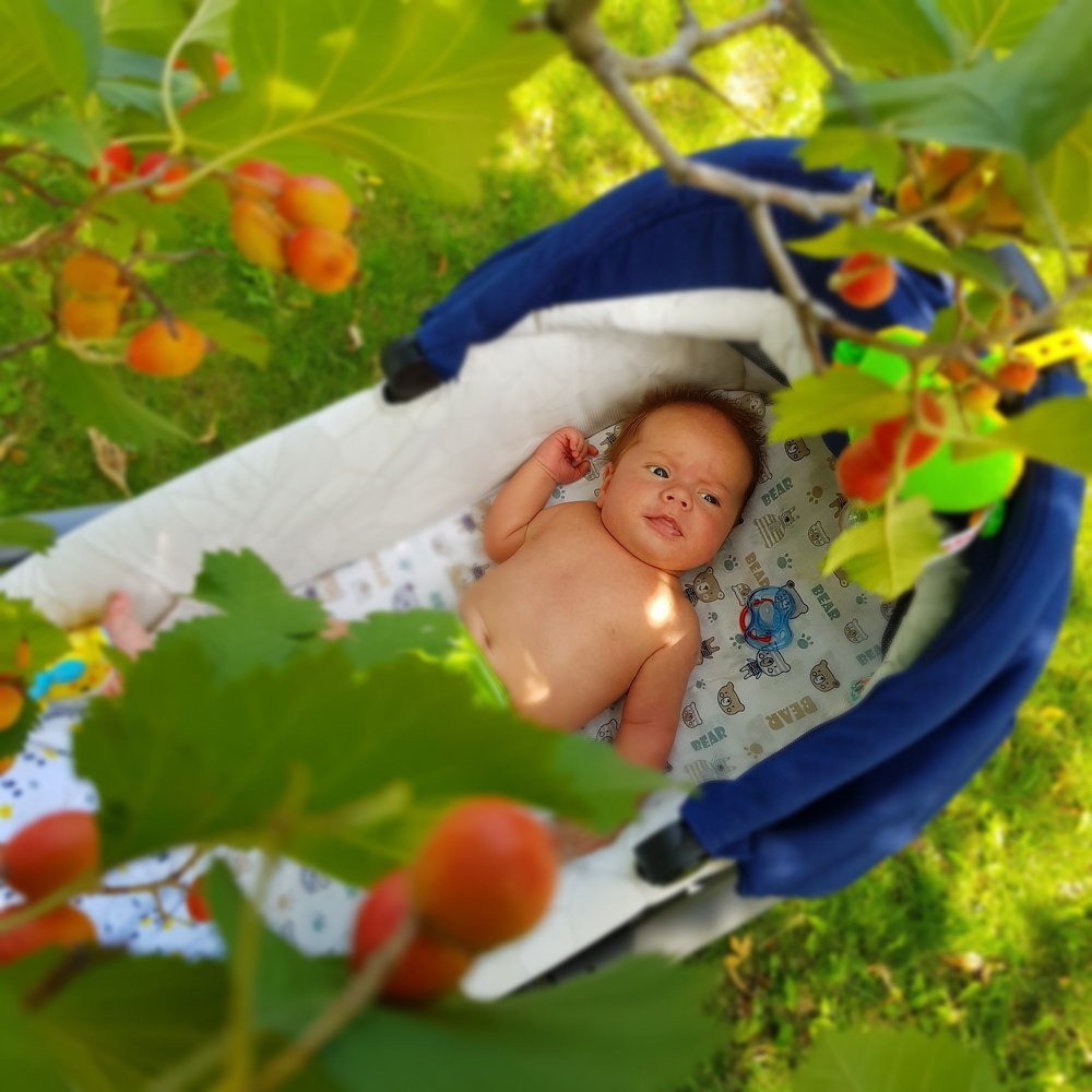 Photograph by Елена Руснак