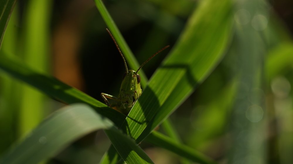 Photograph by Андрей Шартов