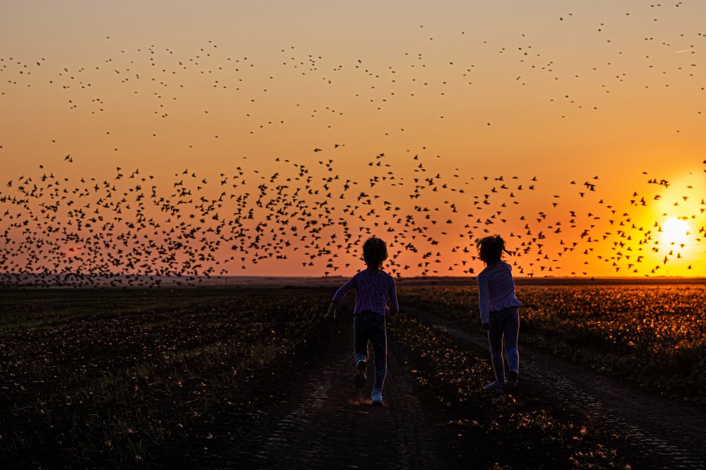 Photograph by Екатерина