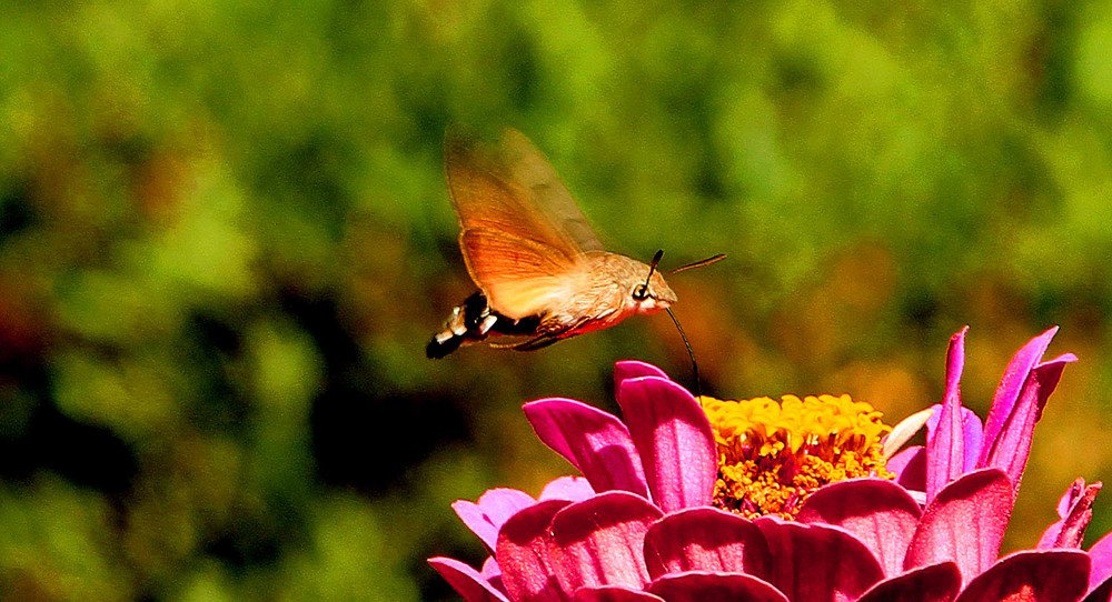 Photograph by Алтынбек Қартабай