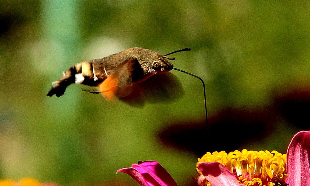 Photograph by Алтынбек Қартабай