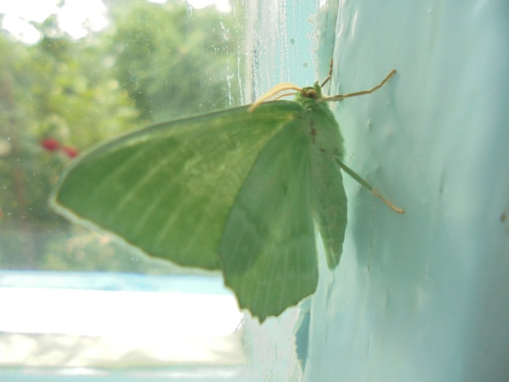 Photograph by Лилия Исхакова