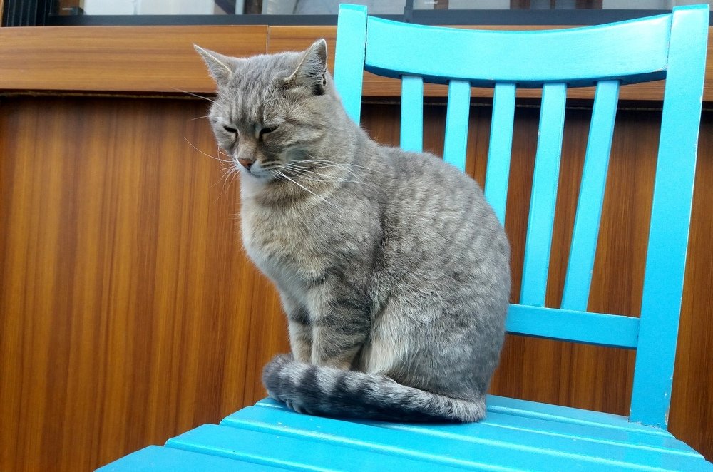 Photograph by Гульбара Абдыкалыкова