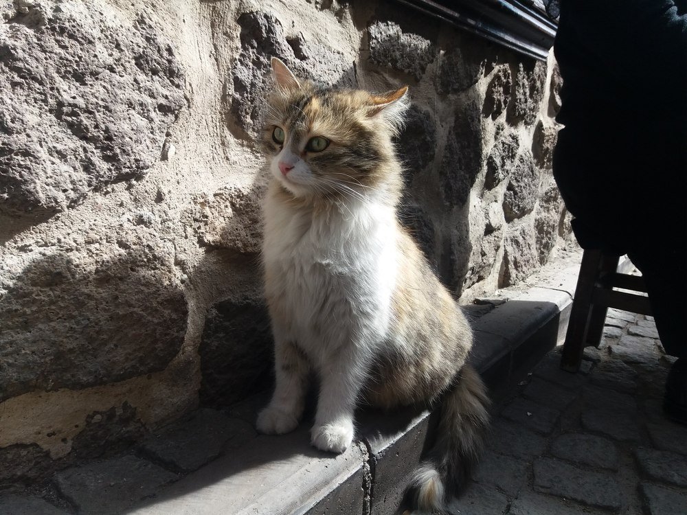 Photograph by Гульбара Абдыкалыкова