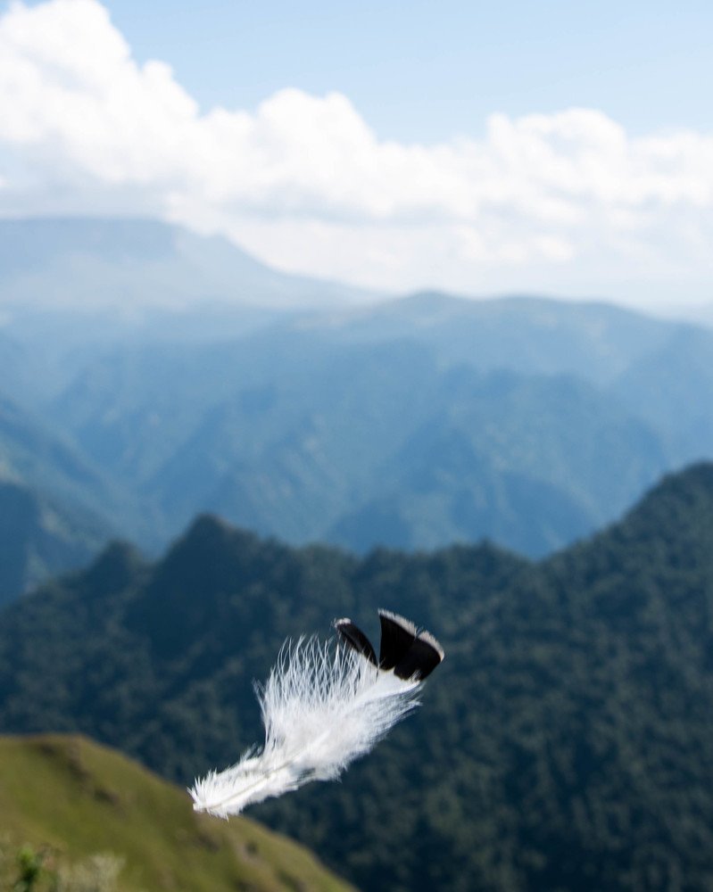 Photograph by Прокошева Екатерина