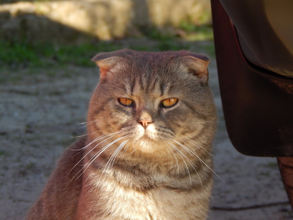 Photograph by Алена