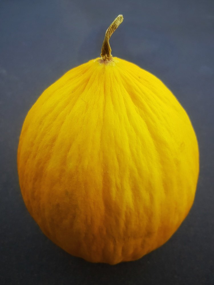 Photograph by Marcin Sokolowski - maarew