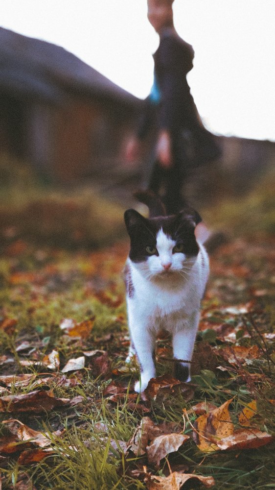 Photograph by Олег Мухачев