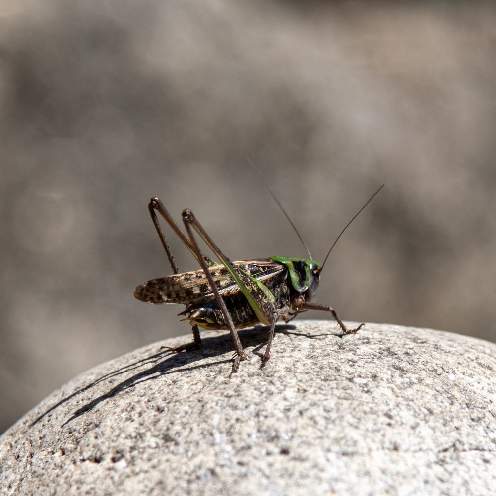 Photograph by Прокошева Екатерина