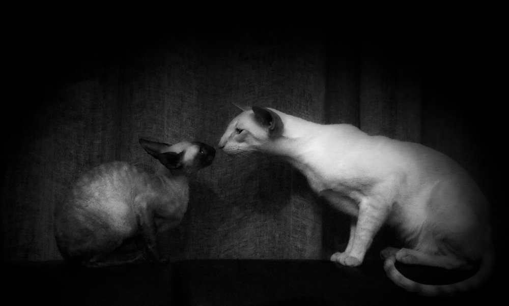 Photograph by Aleksandr Larionov