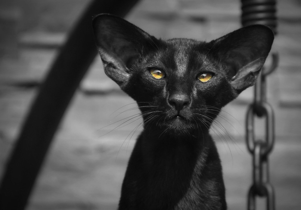 Photograph by Aleksandr Larionov