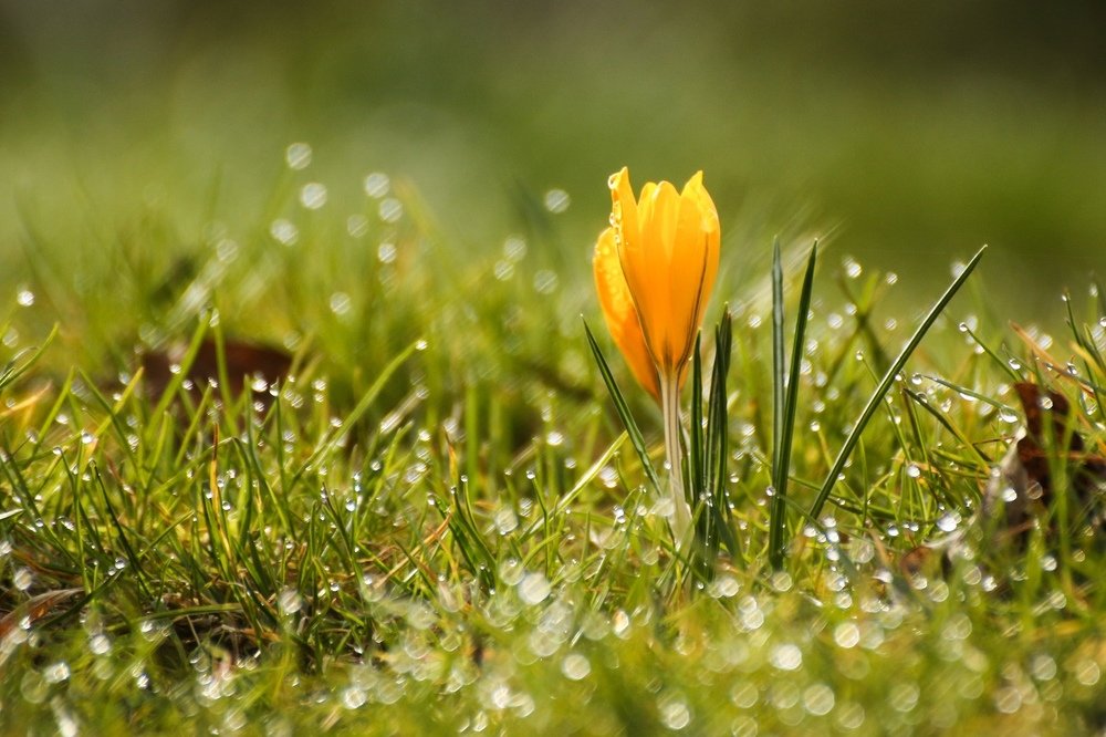 Photograph by Шруб (Беляева) Татьяна