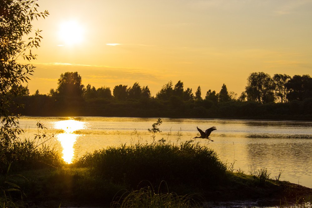 Photograph by Юлия Дейкун