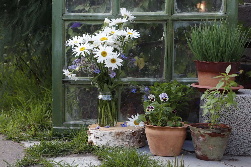 Photograph by Olga Bondarenko