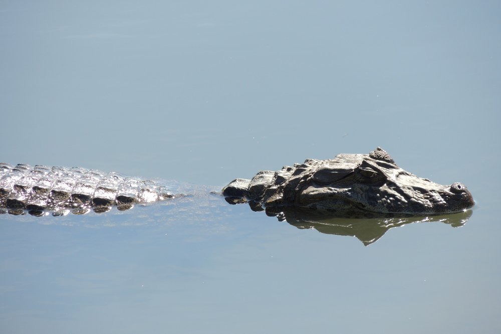 Photograph by francisco jordão