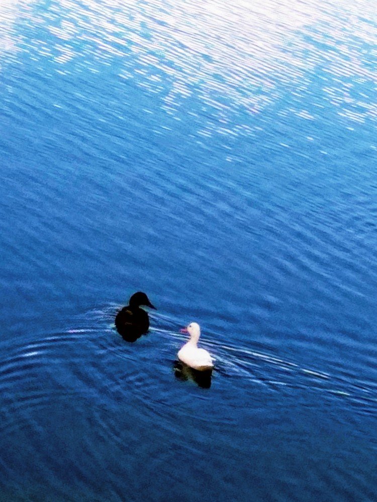 Photograph by Alvydas Ldk